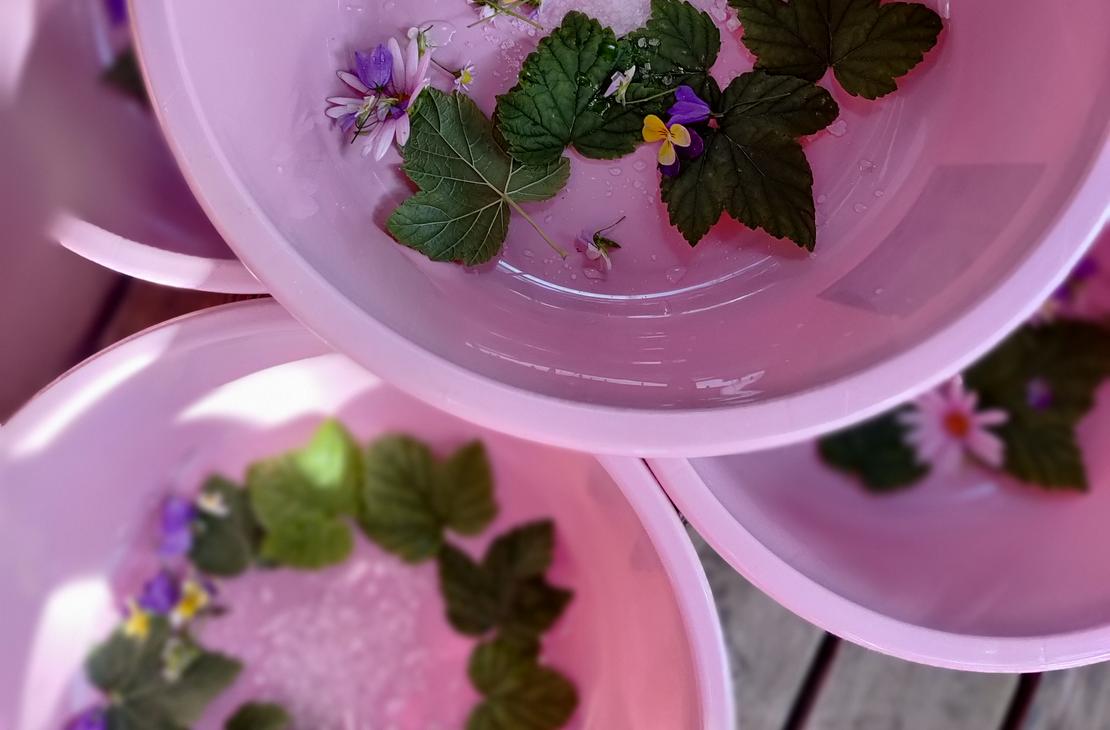 Luontojooga ja rentoutus