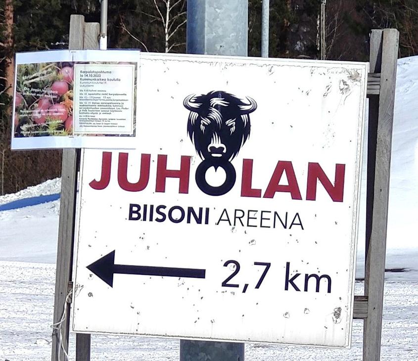 Juholan Biisoniareena