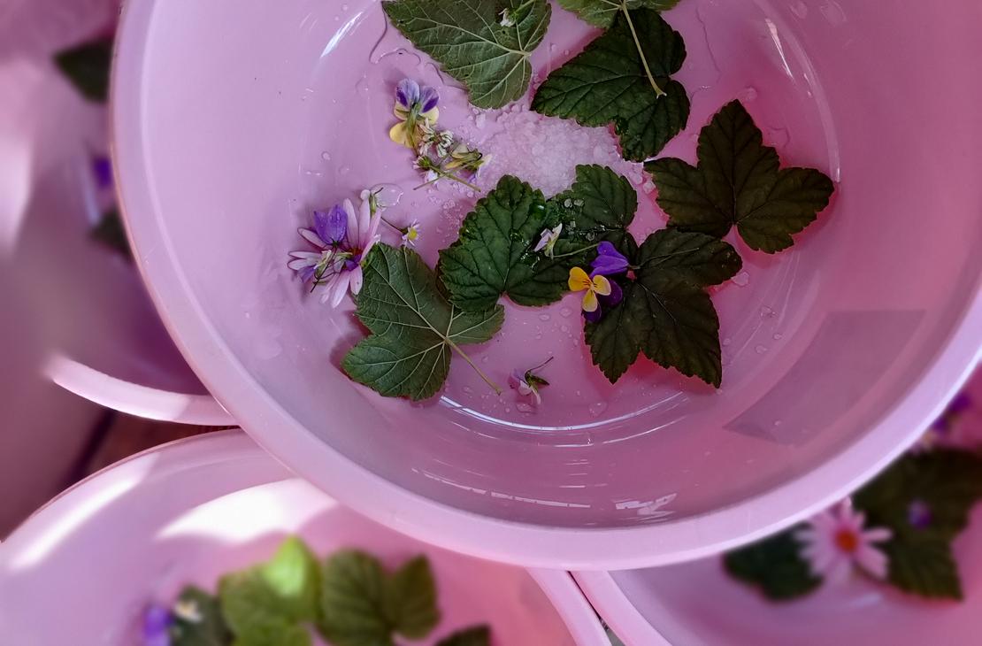 Luontojooga ja rentoutus