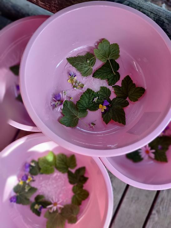 Luontojooga ja rentoutus