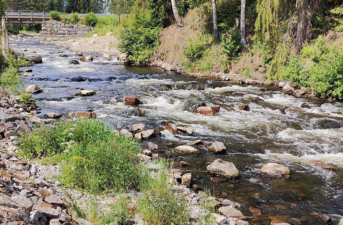 Rajamailla neliottelu Hiitolanjoella