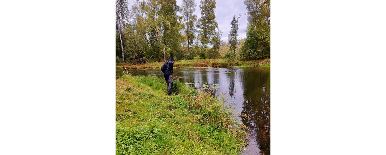 Kalu avastamas Kangaskoskel