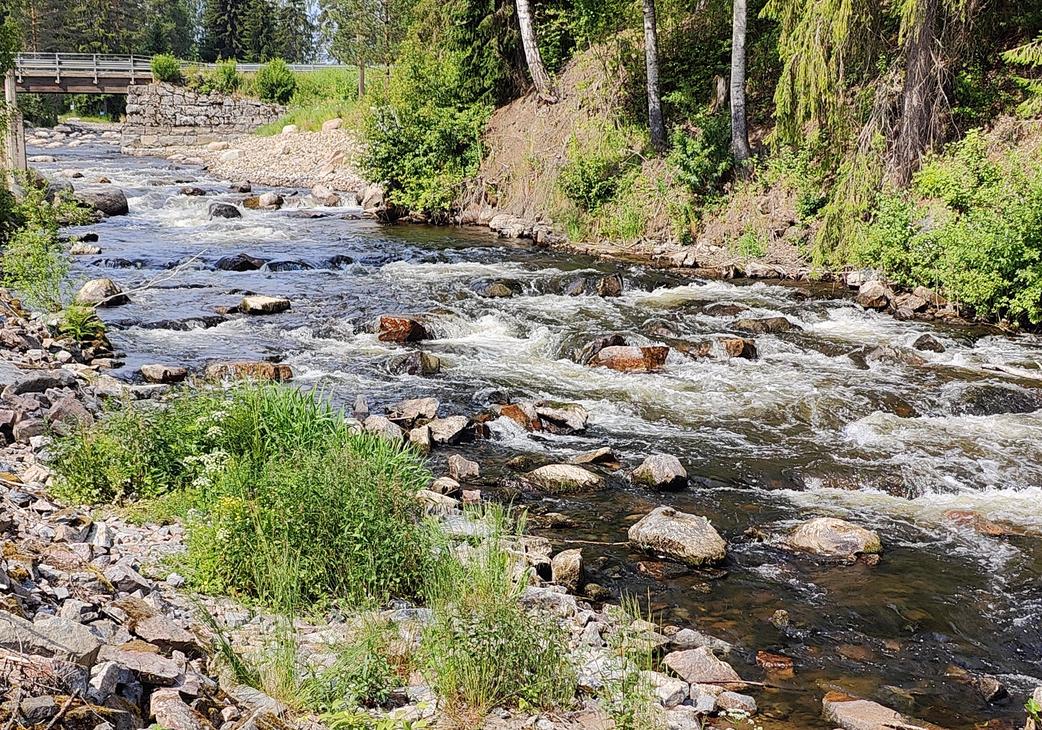 Rajamailla neliottelu Hiitolanjoella