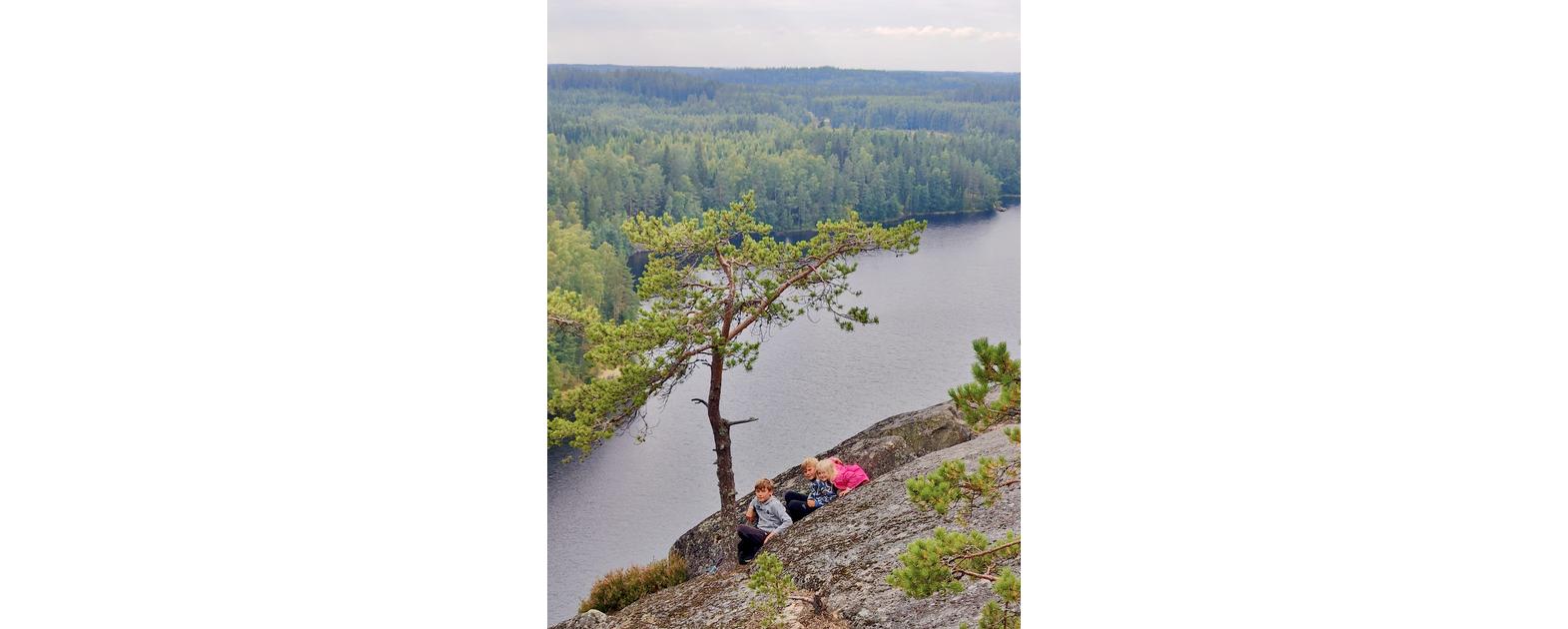 Haukkavuori